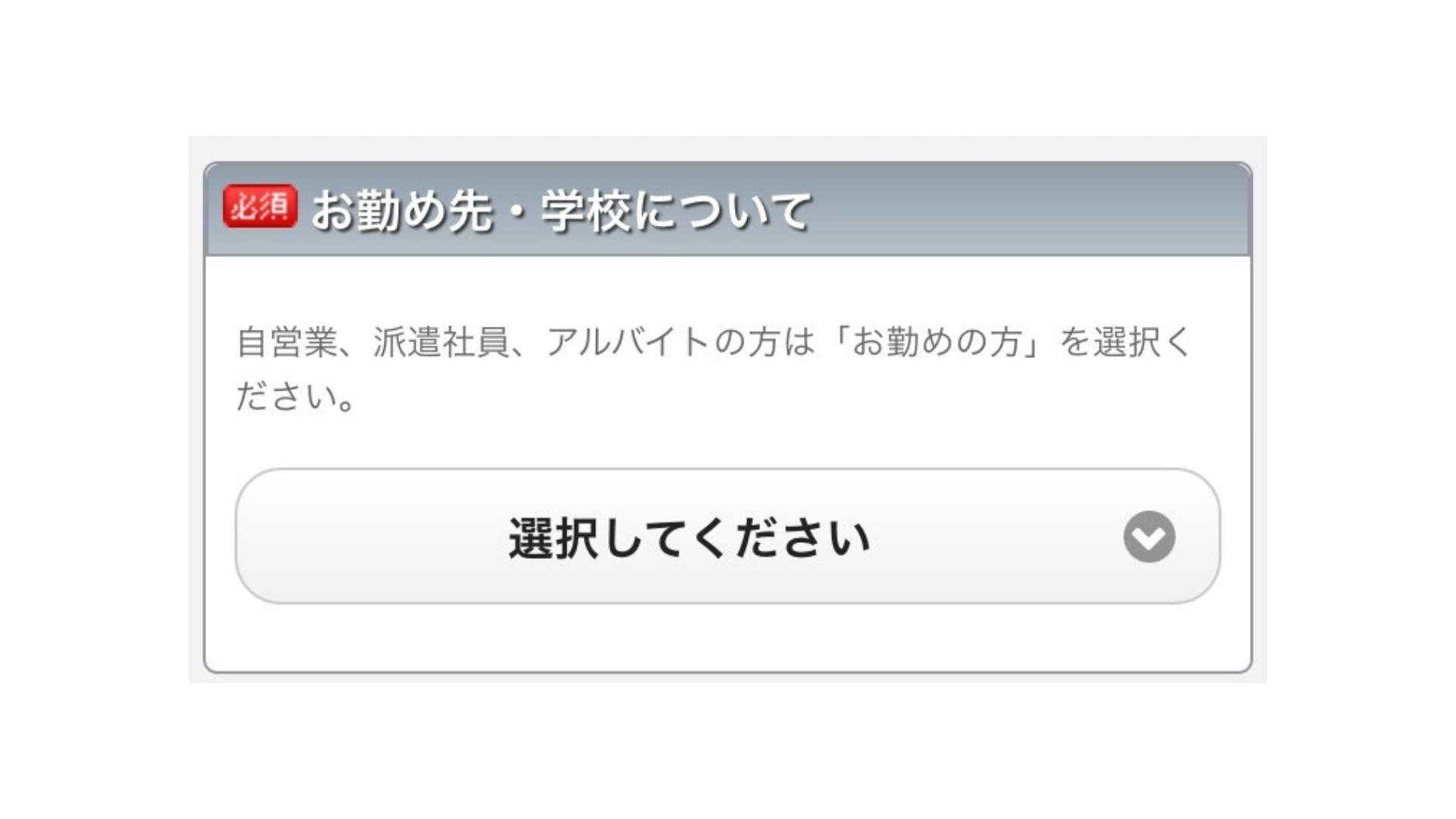 楽天カードの作り方(申し込み画面12)