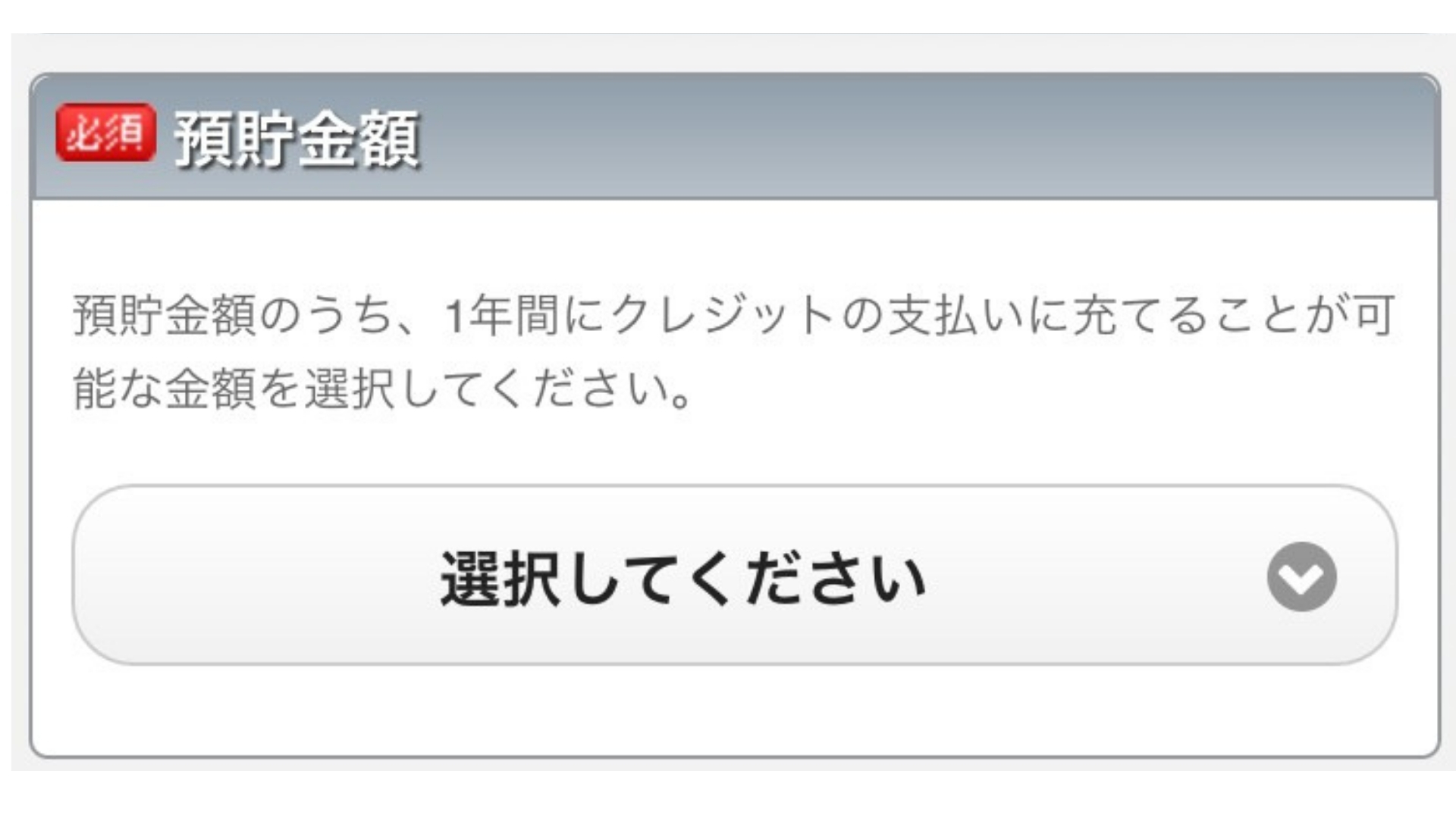 楽天カードの作り方(申し込み画面13)