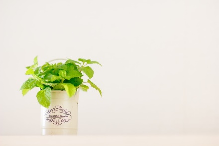 楽天カードのPDF明細はエコ