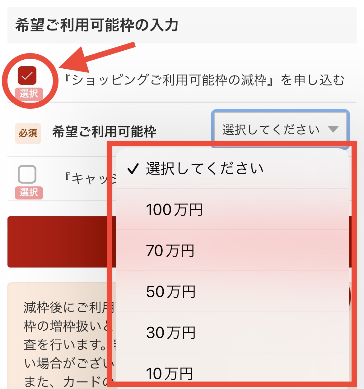 限度額を下げる手順4