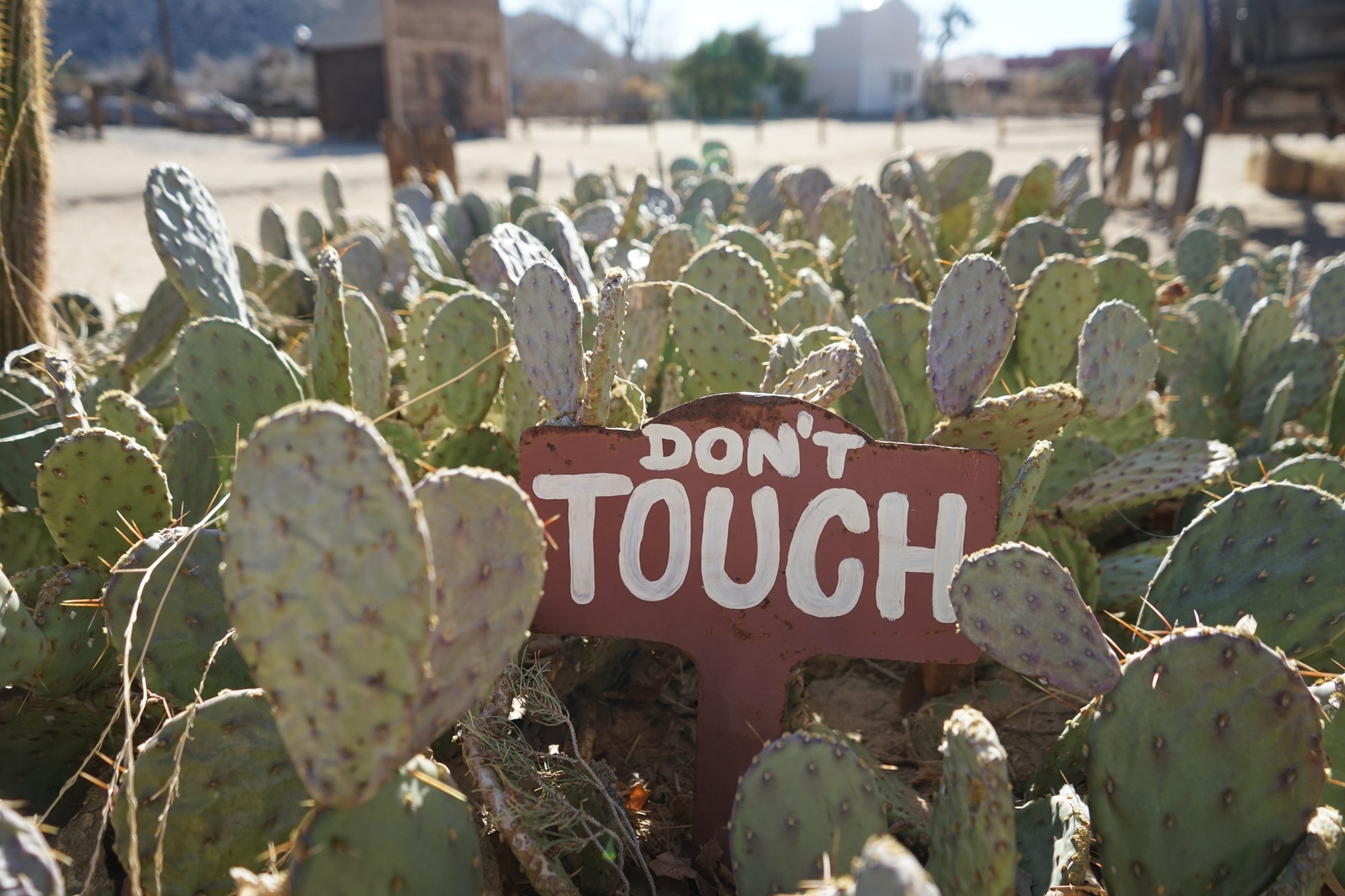 ICチップを触らない