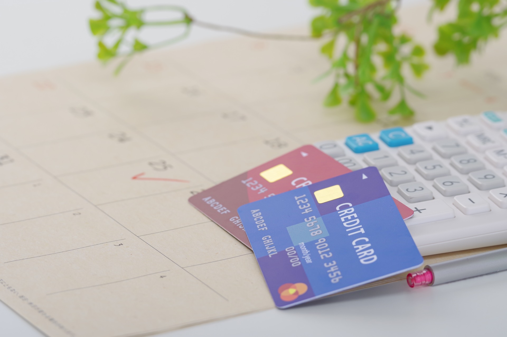 カード支払い日を確認